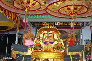 Peddasesha Vahanam In Tirumala3