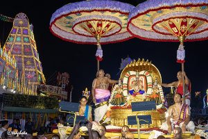 PEDDASESHA VAHANAM IN TIRUMALA7 PEDDASESHA VAHANAM IN TIRUMALA7