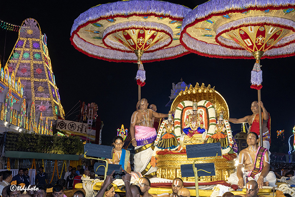 PEDDASESHA VAHANAM IN TIRUMALA7
