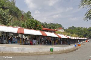 PILGRIM RUSH IN TIRUMALA1 PILGRIM RUSH IN TIRUMALA1
