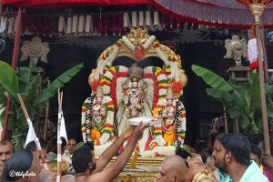 Procession Of Utsava Deities In Gold Tiruchi 15 Procession Of Uts