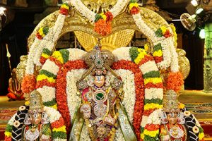 PROCESSION OF UTSAVA DEITIES IN GOLD TIRUCHI PROCESSION OF UTSAVA DEITIES IN GOLD TIRUCHI