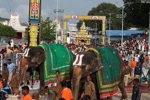 PUSHPAKA VIMANAM IN TIRUMALA6