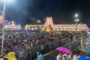 SARVABHOOPALA VAHANAM IN TIRUMALA16 SARVABHOOPALA VAHANAM IN TIRUMALA16