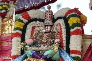 SIMHA VAHANAM IN TIRUMALA15 SIMHA VAHANAM IN TIRUMALA15