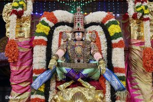 SIMHA VAHANAM IN TIRUMALA17 SIMHA VAHANAM IN TIRUMALA17