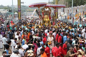 SIMHA VAHANAM IN TIRUMALA18 SIMHA VAHANAM IN TIRUMALA18