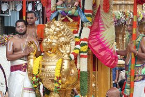 SIMHA VAHANAM IN TIRUMALA4 SIMHA VAHANAM IN TIRUMALA4
