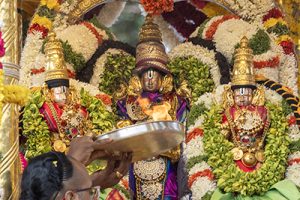 Swarna Ratham In Tirumala1