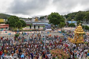 SWARNA RATHAM IN TIRUMALA11 SWARNA RATHAM IN TIRUMALA11