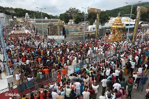 SWARNA RATHAM IN TIRUMALA13 SWARNA RATHAM IN TIRUMALA13