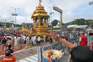 SWARNA RATHAM IN TIRUMALA14 SWARNA RATHAM IN TIRUMALA14