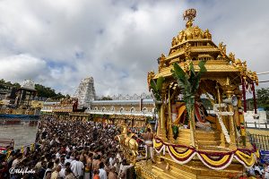 SWARNA RATHAM IN TIRUMALA17 SWARNA RATHAM IN TIRUMALA17