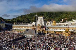 SWARNA RATHAM IN TIRUMALA18 SWARNA RATHAM IN TIRUMALA18