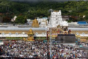 SWARNA RATHAM IN TIRUMALA19 SWARNA RATHAM IN TIRUMALA19