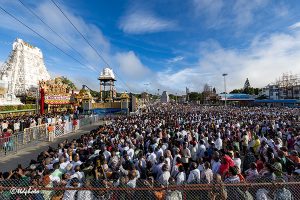 Swarna Ratham In Tirumala6