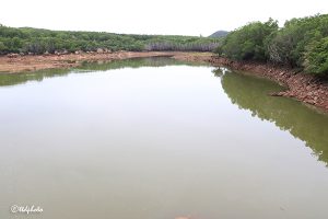 WATER LEVEL IN TIRUMALA G G DAM WATER LEVEL IN TIRUMALA G G DAM