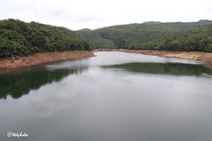 WATER LEVEL IN TIRUMALA PAPAVINASANAM DAM WATER LEVEL IN TIRUMALA PAPAVINASANAM DAM
